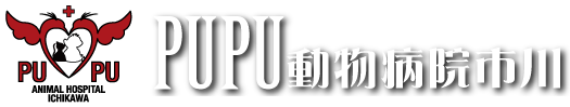 PUPU動物病院市川